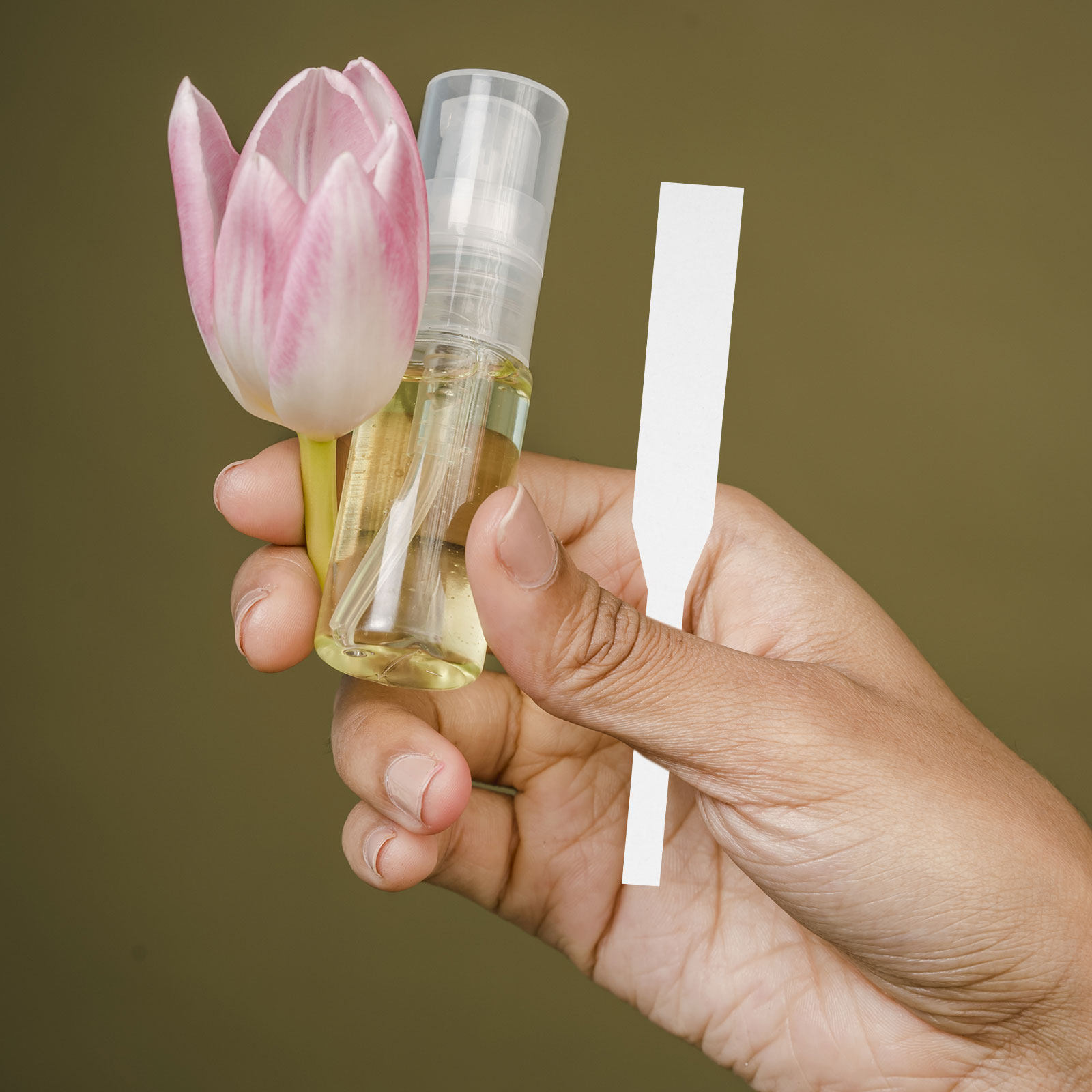 Perfume Fragrance Shop - 100 Stück Parfüm-Teststreifen Duft-Teststreifen für Kosmetikgeschäfte